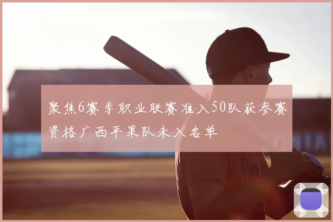 聚焦6赛季职业联赛准入50队获参赛资格广西平果队未入名单