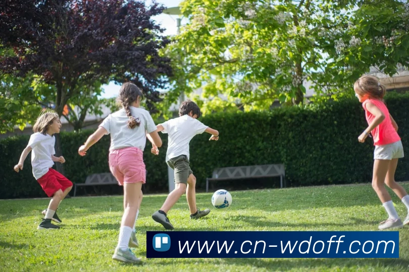 问鼎APP下载2026品牌故事