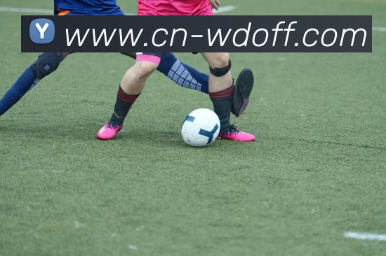 问鼎APP下载2026服务体系