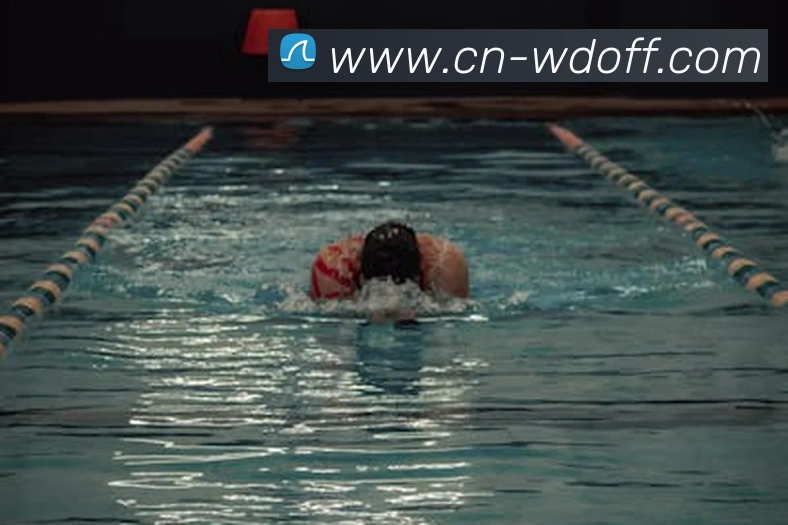 App Interface Preview